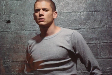 Wentworth Miller   Fanpop Girls Wallpapers (12470219)   Fanpop