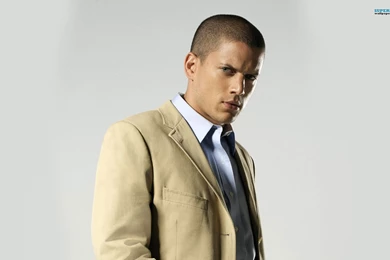 Wentworth Miller Wallpapers   Male Celebrity Wallpapers