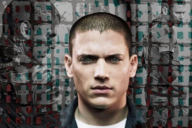 Wentworth Miller   Wentworth Miller Wallpapers (30781574)   Fanpop