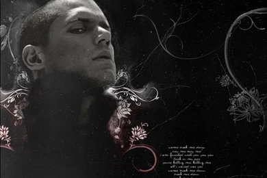 Wentworth Miller   Wentworth Miller Wallpapers (28602784)   Fanpop