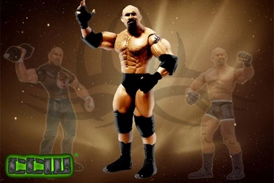 Downloads   Crash Collision Wrestling