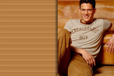 Went   Wentworth Miller Wallpapers (890431)   Fanpop
