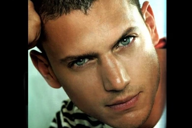 Wallpapers Wentworth Miller (category Wallpapers Celebrities Men ...