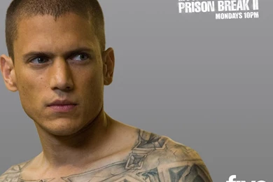 Wentworth Miller (prison Break   Wentworth Miller Wallpapers ...