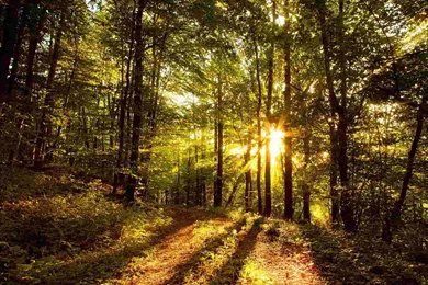 Breathtaking Nature HD Wallpapers