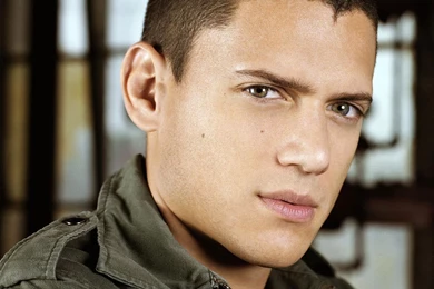 Wentworth Miller