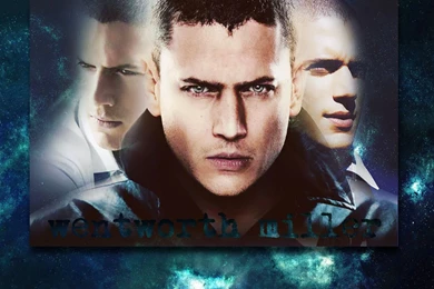 Wentworth Miller   Wentworth Miller Wallpapers (9714182)   Fanpop