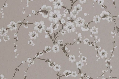 Boutique Wallpapers By Harlequin