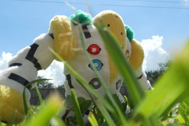 Real Life Regigigas By Indigochamp33 On DeviantArt