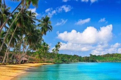 Breathtaking Polynesian Beach Wallpapers
