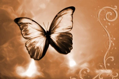 1152x864 Webmyimage Wonderful Hd Walls Desktop PC And Mac Wallpapers