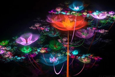 Spiritual Garden   (