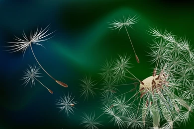 Best_coolwallpapersorg 4.jpg