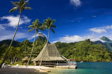 Landscape, Background, Wallpaper, Papel, Wonderful (