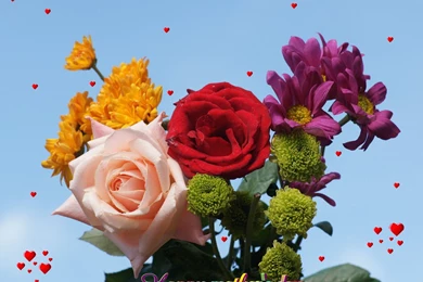 Beautiful Flowers Pictures   HD Wallpapers Pretty