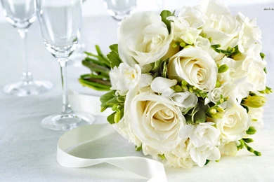 White Rose Pictures Wallpapers GH7