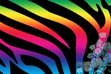 Zebra Rainbow   1280 / 800 Wallpapers