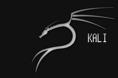 Kali Linux   Fanmade [Black] 1920x1080 By Kozmosindigo On DeviantArt