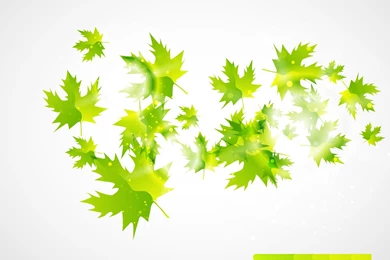 Leaves Backgrounds   PPT Backgrounds