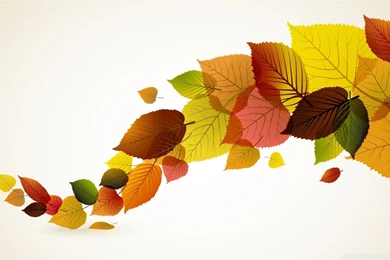 Fall Leaves Backgrounds Powerpoint