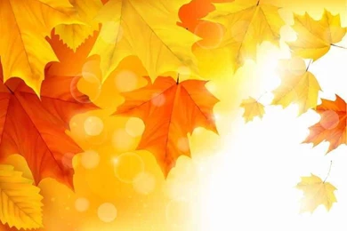 ABDZ NEWS — Autumn 2013 – The Best Free Vector Autumn Leaves For ...