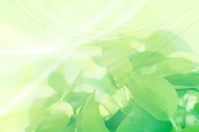 Leaves Tablet Wallpapers 02