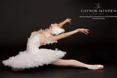 Ballet Wallpapers   Wallpapers Cave