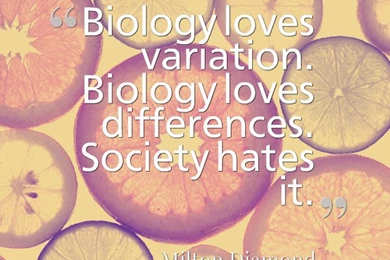 Inspirably.com   Make Beautiful Quotes For Facebook, Twitter, And ...