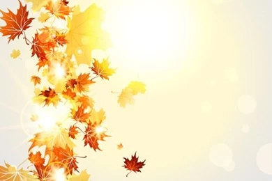 Bright Autumn Leaves Vector Backgrounds 07   Vector Backgrounds ...