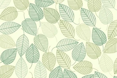 Green Leaves Backgrounds Vector