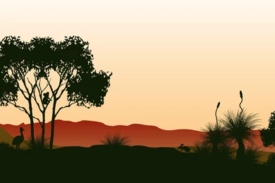 Australian Bush HD Wallpapers, Australian Bush Images, New Wallpapers