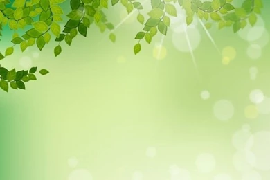 Leaves Vectors, Photos And PSD Files