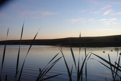 FREE ADMISSION Waterfowlers Party THIS WEEKEND Hosted By Ducks ...