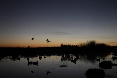 Detail Company Adventures Blog