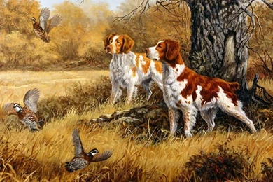 Murals Wallpapers   Widescreen HD Wallpapers