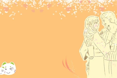 Zoro Nami Wallpapers   NAMI & ZORO Photo (32147188)   Fanpop