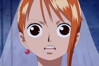 Nami (>w<)   One Piece Wallpapers (35335942)   Fanpop