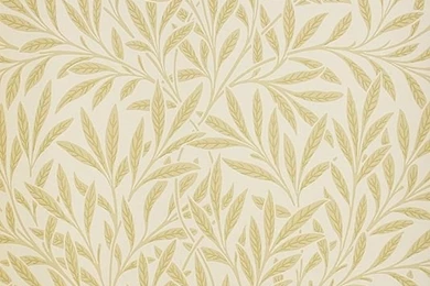 Willow Wallpapers In Buff
