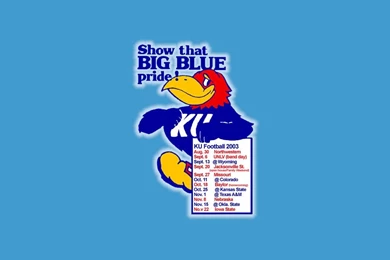 Computer Desktop Wallpapers University Of Kansas