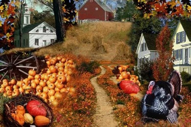 Love Heart Wallpaper: November 2009