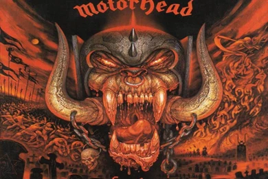 Choose A Wallpapers For Your Personal Page