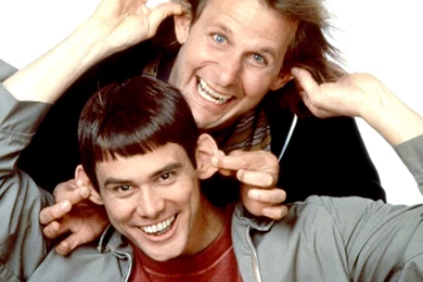 DUMB AND DUMBER Comedy Family Humor Funny (43) Wallpapers ...