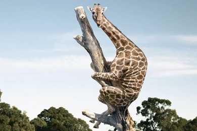 New Amazing Wallpapers 2014