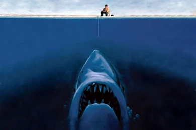 Amazing Wallpapers – Funny Pictures, Awesome Pictures, Funny Images ...