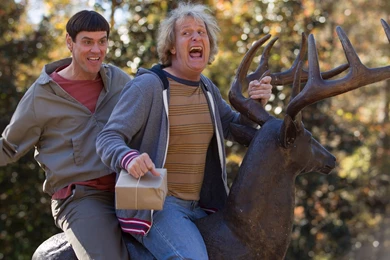 Dumb And Dumber To 2014 Wallpapers HD