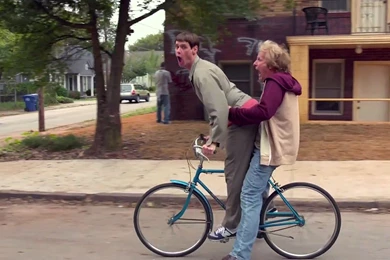 DUMB AND DUMBER Comedy Family Humor Funny (47) Wallpapers ...