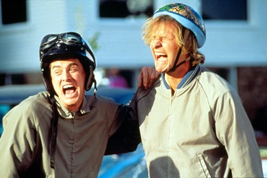 Dumb And Dumber To (2014) Awesome HD Wallpapers