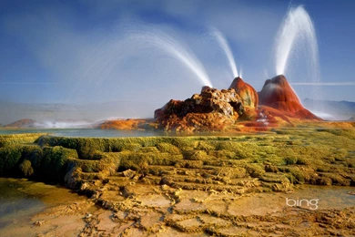 Bing Bing Wallpapers 22607   Desktop Wallpapers   System Wallpapers