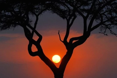 Beautiful Sunset Scenery HD Desktop Wallpapers : High Definition ...