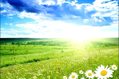 Pretty Desktop Wallpapers   6 Items